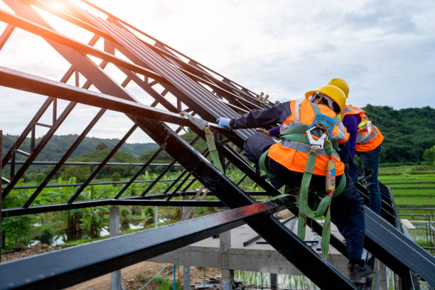Best Roof Repair Services  in Marion, IN